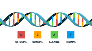 Trace_MetagenomicsBlog_DNA