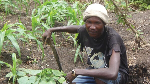 smallholder farmer