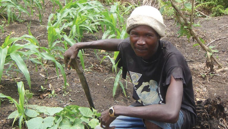 smallholder farmer