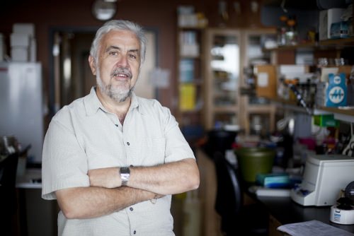 Timothy Donohue PHOTO: GREAT LAKES BIOENERGY RESEARCH CENTER