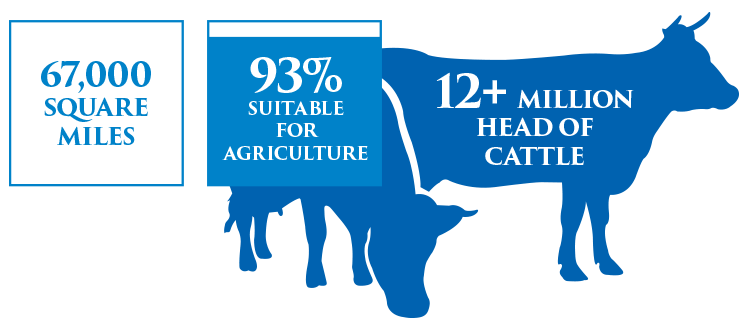 cattle-stats