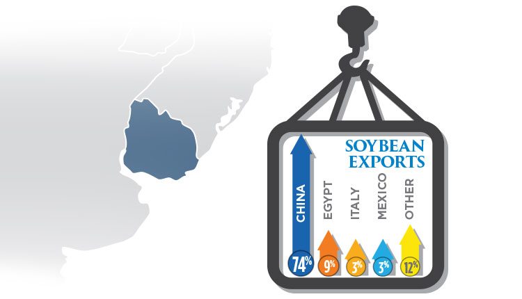 soybean-exports