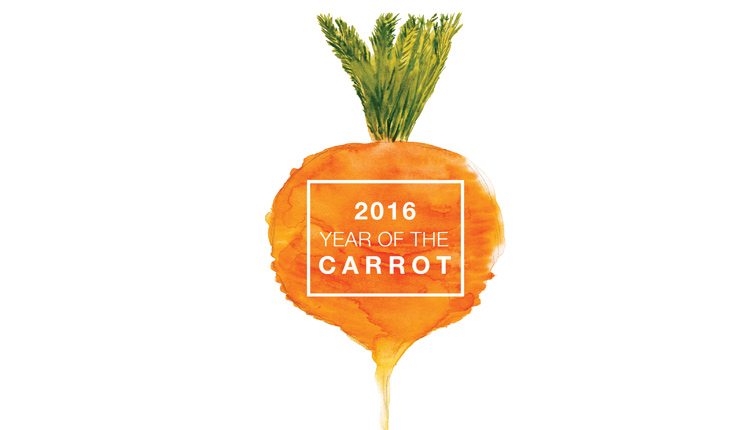 year-of-the-carrot