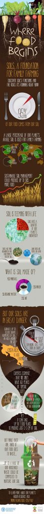 fao-soils-infographic