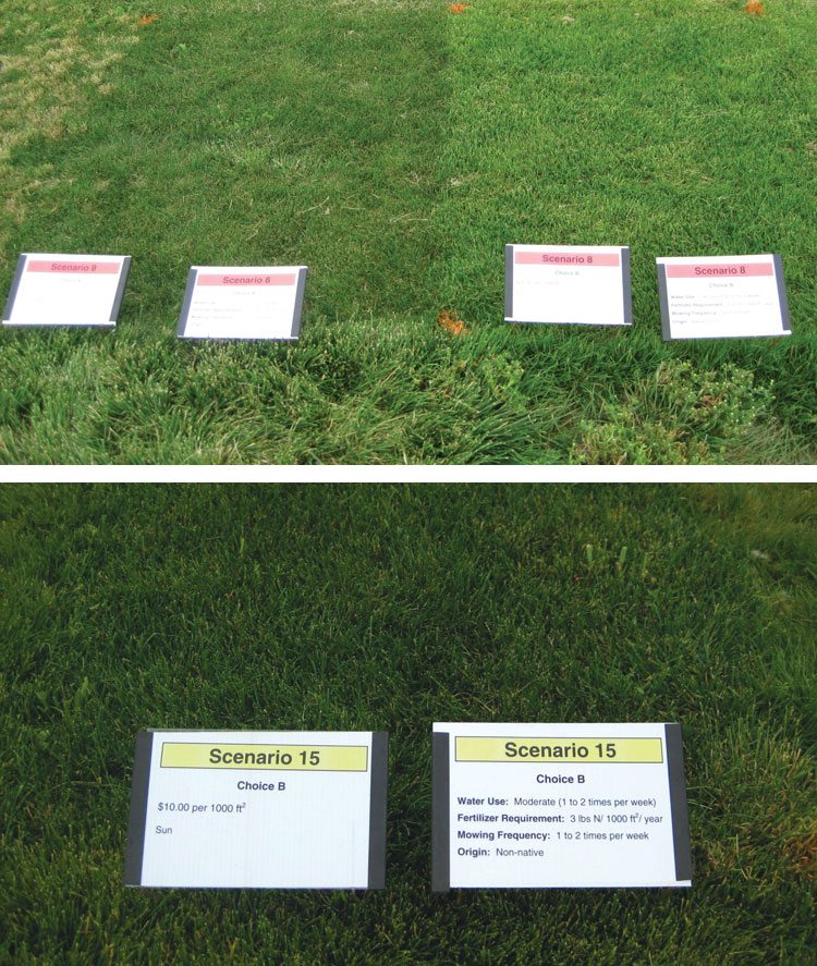 These two images show how participants were presented with a series of choice scenarios, which consisted of adjacent or nearly adjacent turfgrass plots. Participants were asked to take into account price, shade adaptation and requirements for irrigation, fertilizer and mowing.