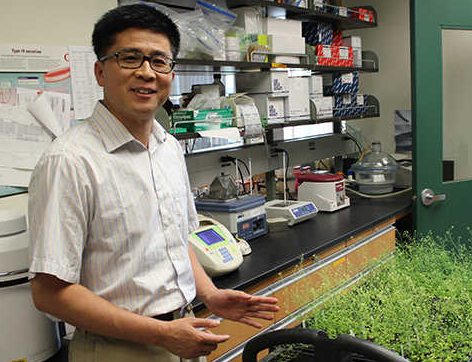 Huanzhong Wang, assistant professor of plant science and landscape architecture. (Kevin Noonan/UConn Photo)
