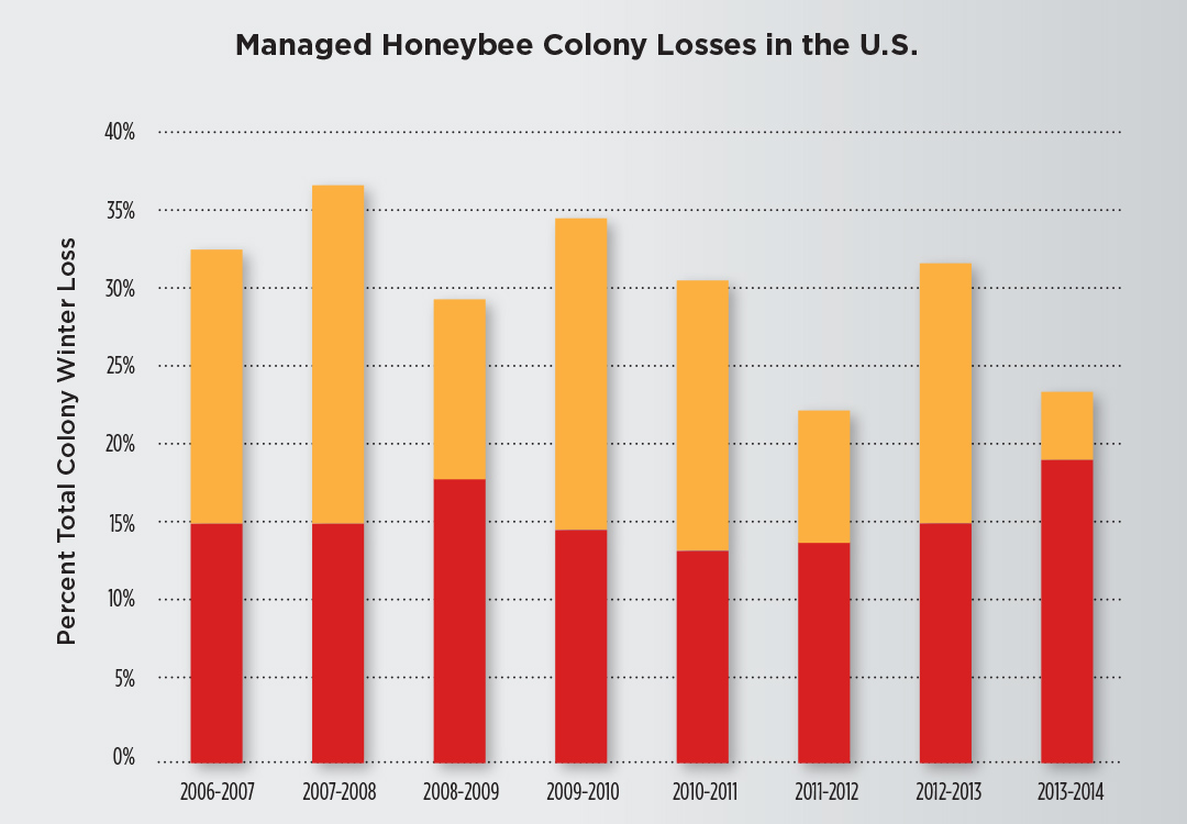 This chart summarizes the total overwinter colony loss each winter, from Oct. 1 to April 1, of managed honeybee colonies in the United States. The red bar is the average percentage of acceptable loss, and the orange bar represents the percentage of actual loss. Source: Bee Informed Partnership 2014.