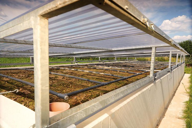 Phytobac helps farmers clean wastewater on farms.