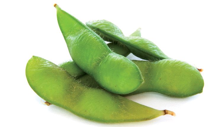 soybean-pods