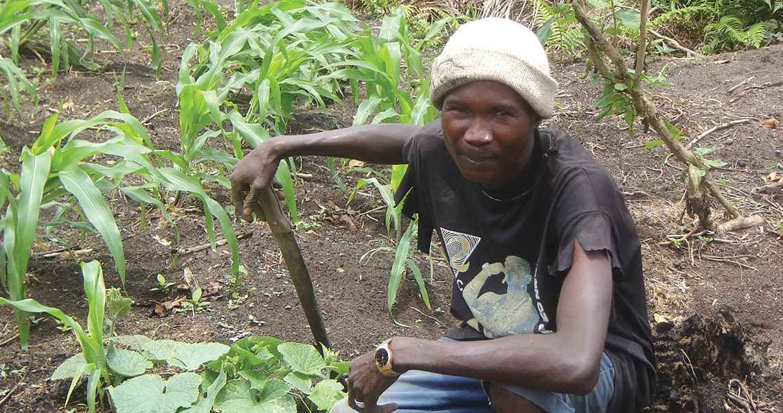 smallholder farmer