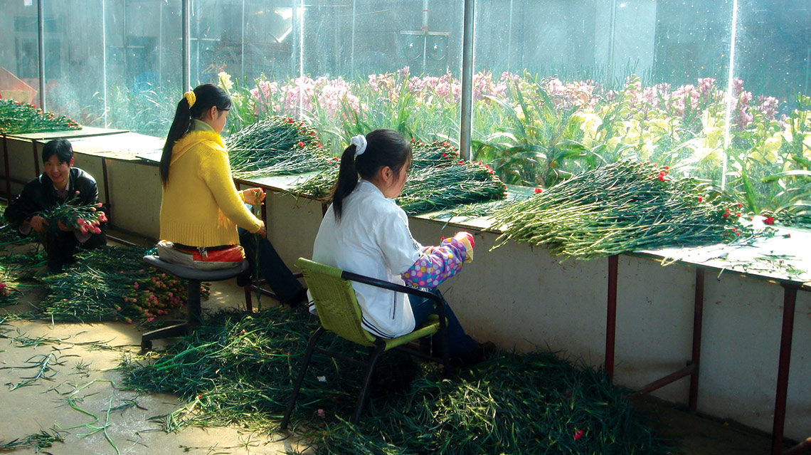 Asia’s floriculture industry