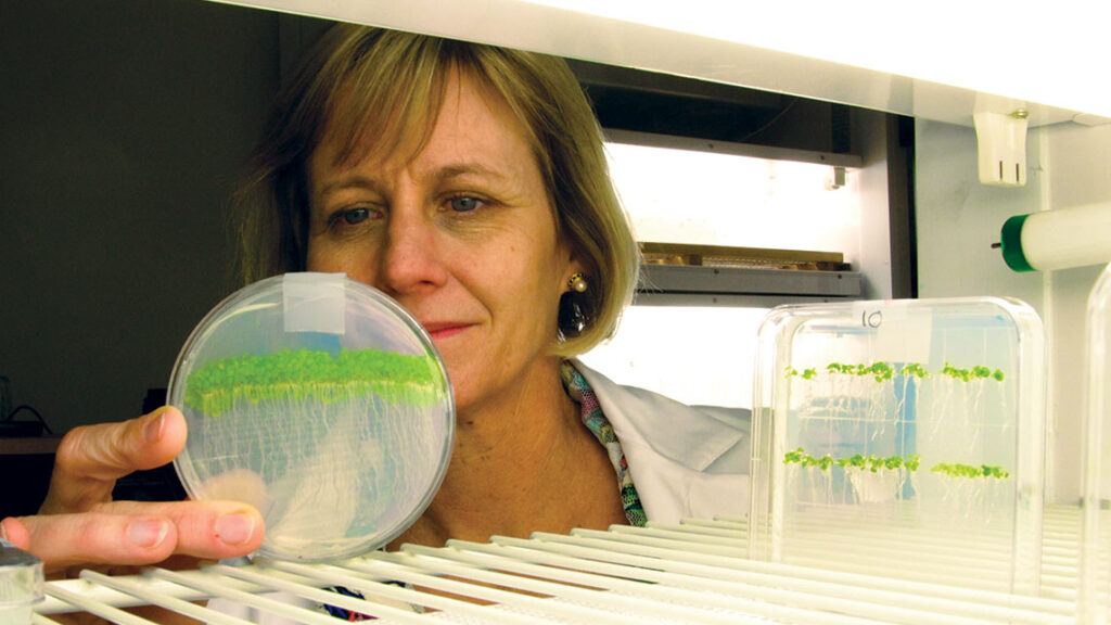 Julia Bailey-Serres,