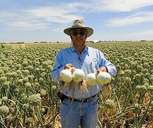 Nassif Burkhuch, president of California’s Golden Valley Seeds