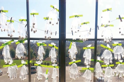 Food service gloves filled cottonballs and seeds hang in the window of this Nashville, Tennessee, classroom as part of My American Farm’s Garden in a Glove project.