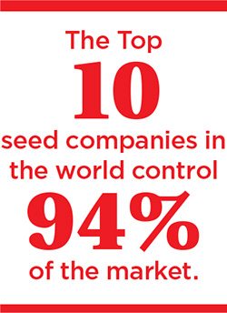 The Top 10 seed companies