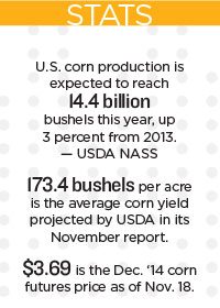 corn conundrum stats