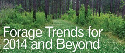 dec13_forage_trends_2