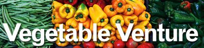 vegetableventre_main_feb13