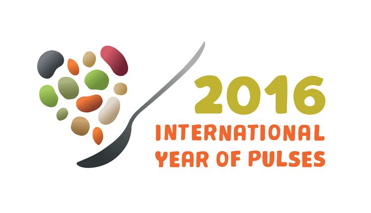 2016-year-of-pulses