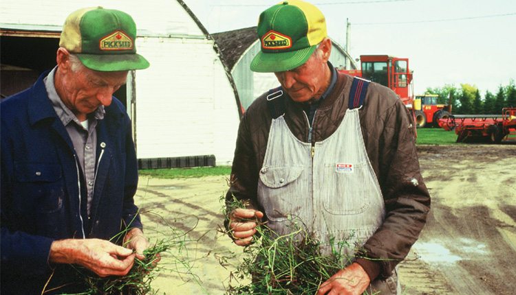 Brothers Harold and Barney Bjornson (pictured) were two of the best birdsfoot trefoil growers. Photo: Martin Pick.