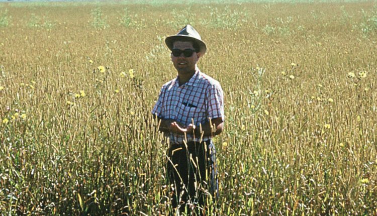 “In those days, forage seed was the backbone of Ontario agriculture. Corn was only on the fringes.” — Martin Pick