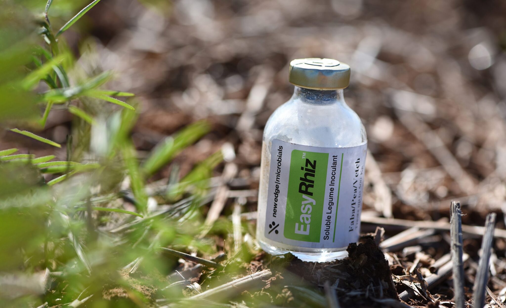 New Edge Microbials Leading the Field in Agriculture - Seed World