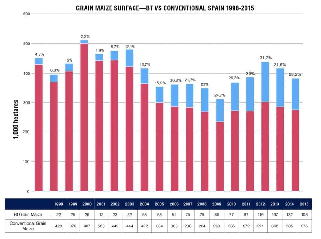 Figure 2. Spain's GM Maize surface as a percentage of conventional maize surface. 