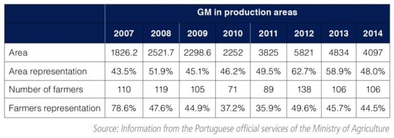 Figure 5. Development of GM production in production areas.