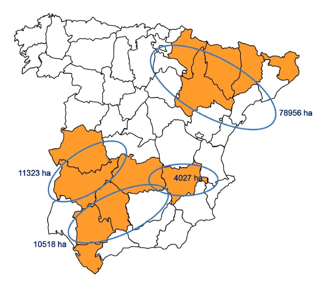 Figure 1. Main production areas of GM corn in Spain. Source: Spanish Ministry of Agriculture, Food and Environment 