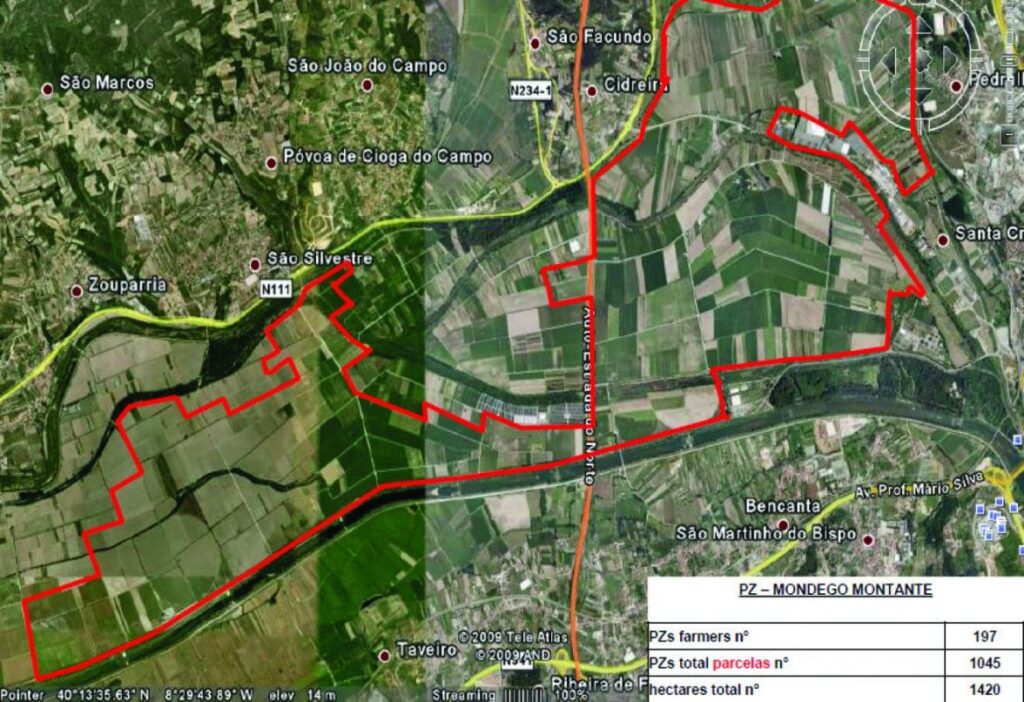 Figure 3. Example of GM production area.