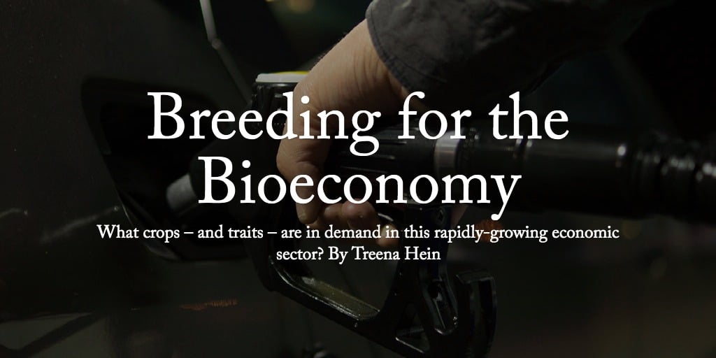 Breeding for the Bioeconomy