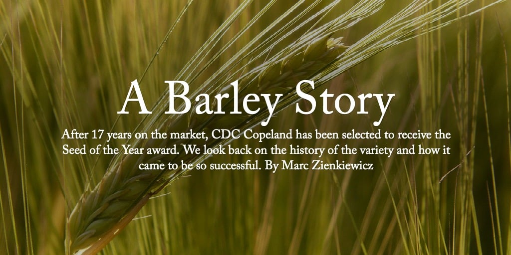 A Barley Story