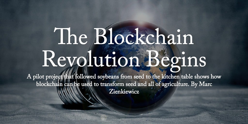 The Blockchain Revolution Begins