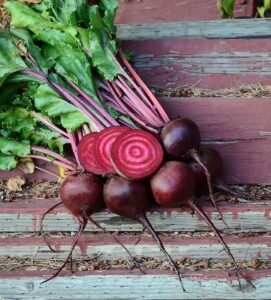 beet