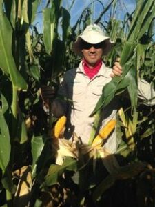 corn breeding