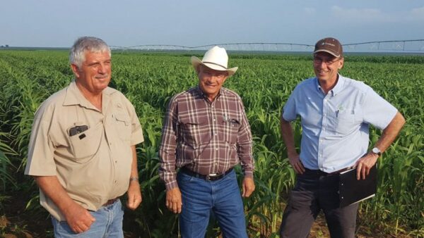 Rudi Kuschke, K2 Seed marketing agronomist; Larry McDowell, Chromatin production manager; and Gerrit Scheepers, Sorghum Solutions Africa general manager at a grain sorghum production site of the variety Avenger in Lichterburg, South Africa.