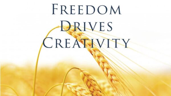 freedom drives creativity