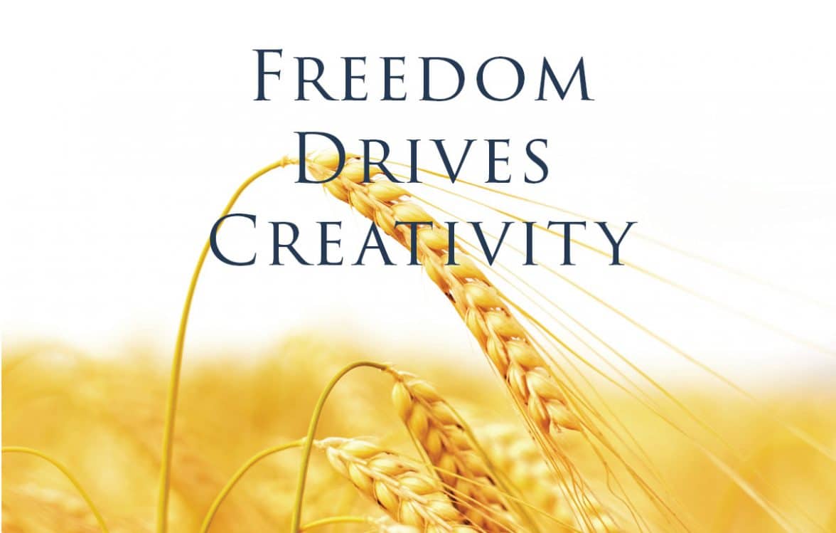 freedom drives creativity