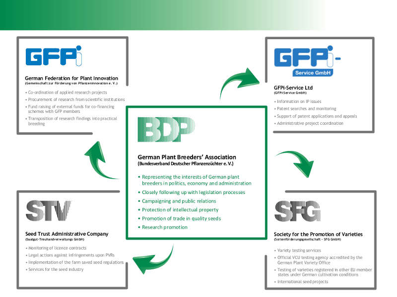 16-218-bdp-grafik-netzwerk-engl_september