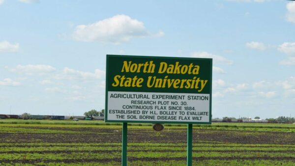 North Dakota State University farm, field