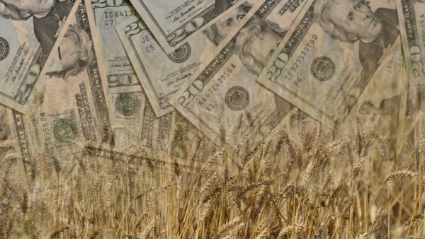 money, crops, wheat