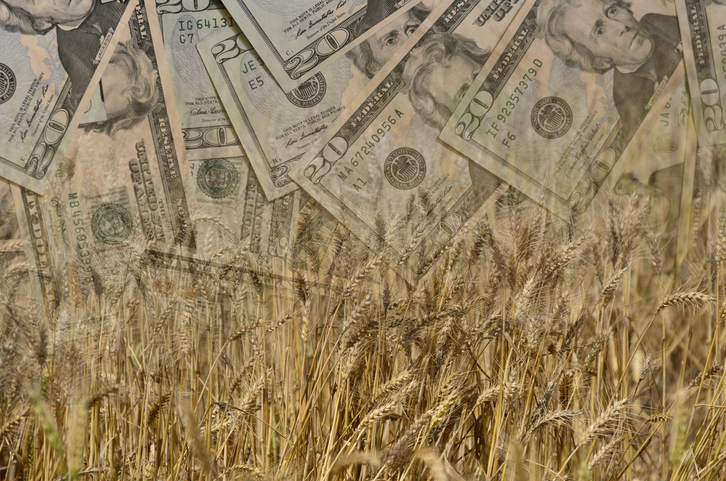 money, crops, wheat