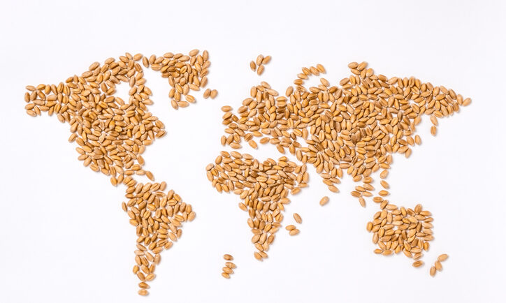 wheat, world map