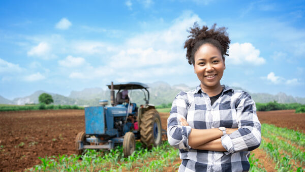 woman, farmer, field, crops, agriculture