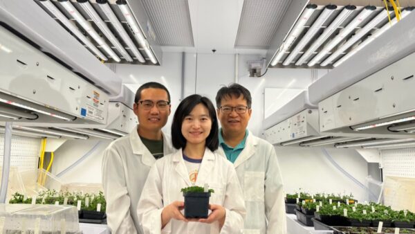 lab, scientists, plants