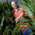 corn, man holding corn