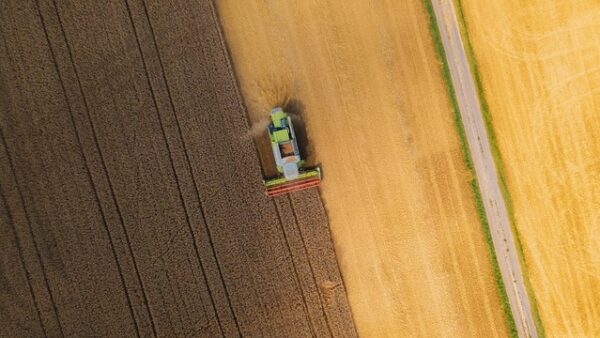 tractor, field, farm