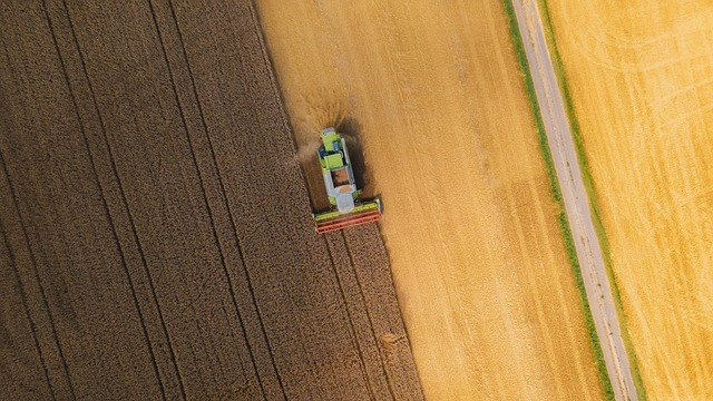 tractor, field, farm