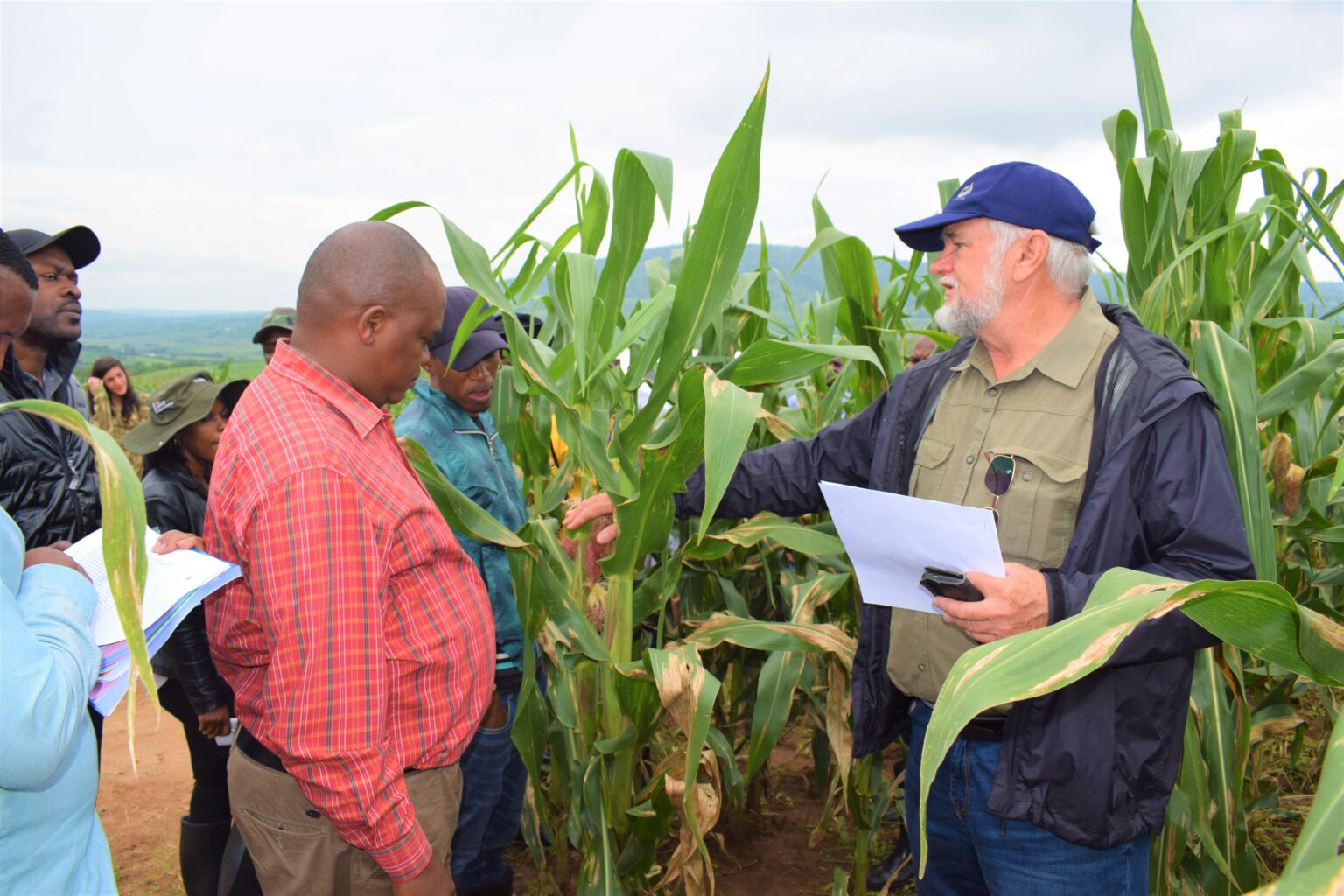 Strengthening Africa’s Seed Certification: A Collaboration for Food ...