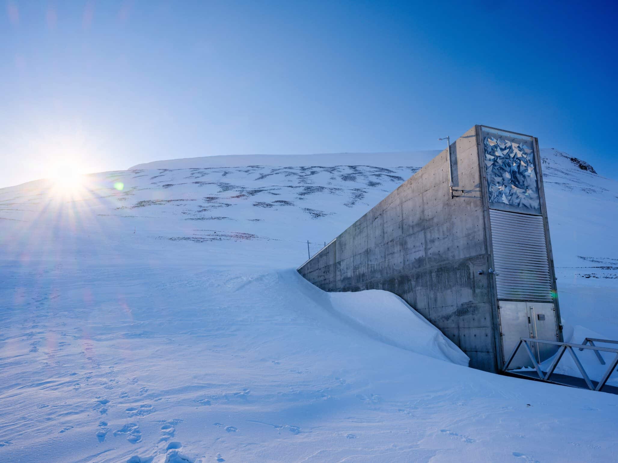 Global Seed Vault Marks Year-End with 21,000 New Samples
